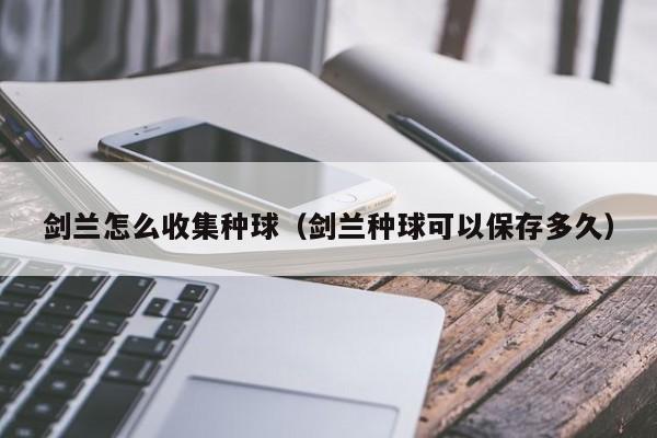 剑兰怎么收集种球（剑兰种球可以保存多久） 